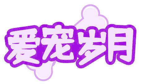 愛寵歲月