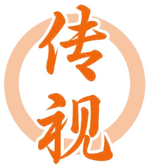 传视