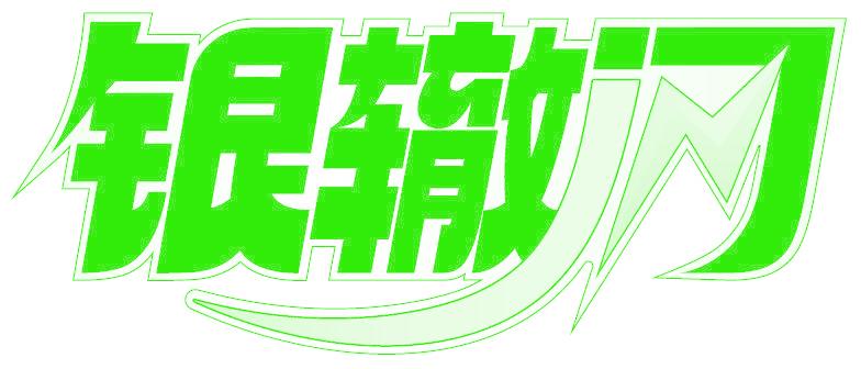 银辙闪