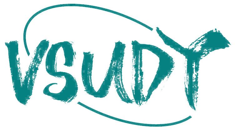 VSUDY
