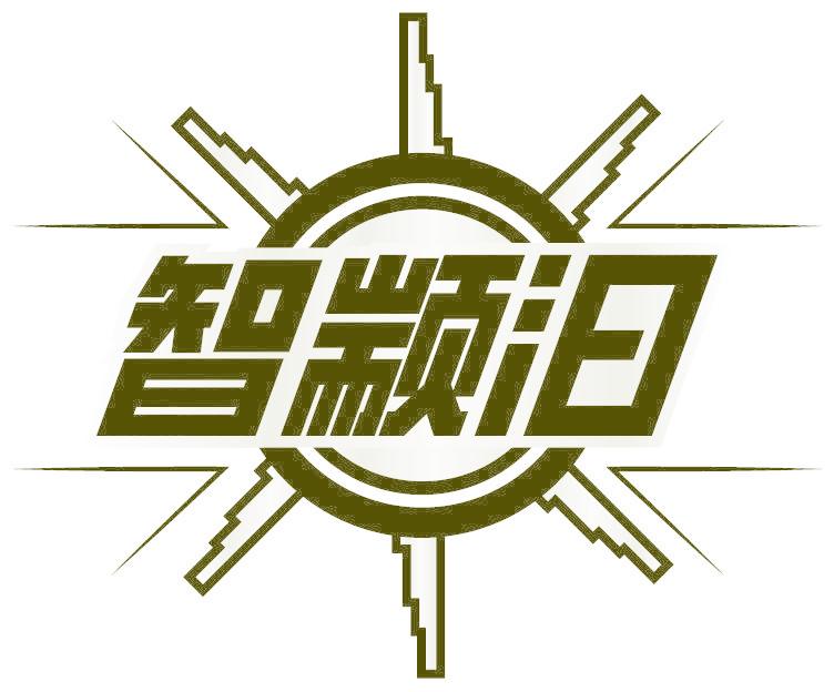 智颛汩