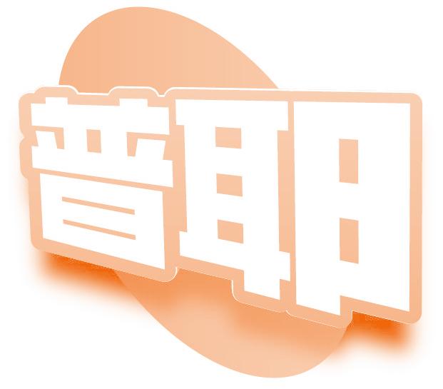 普耶