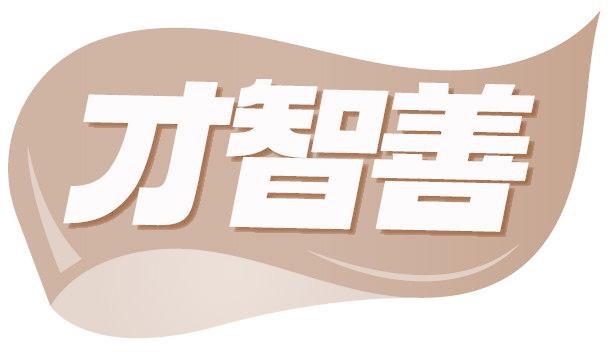 才智善