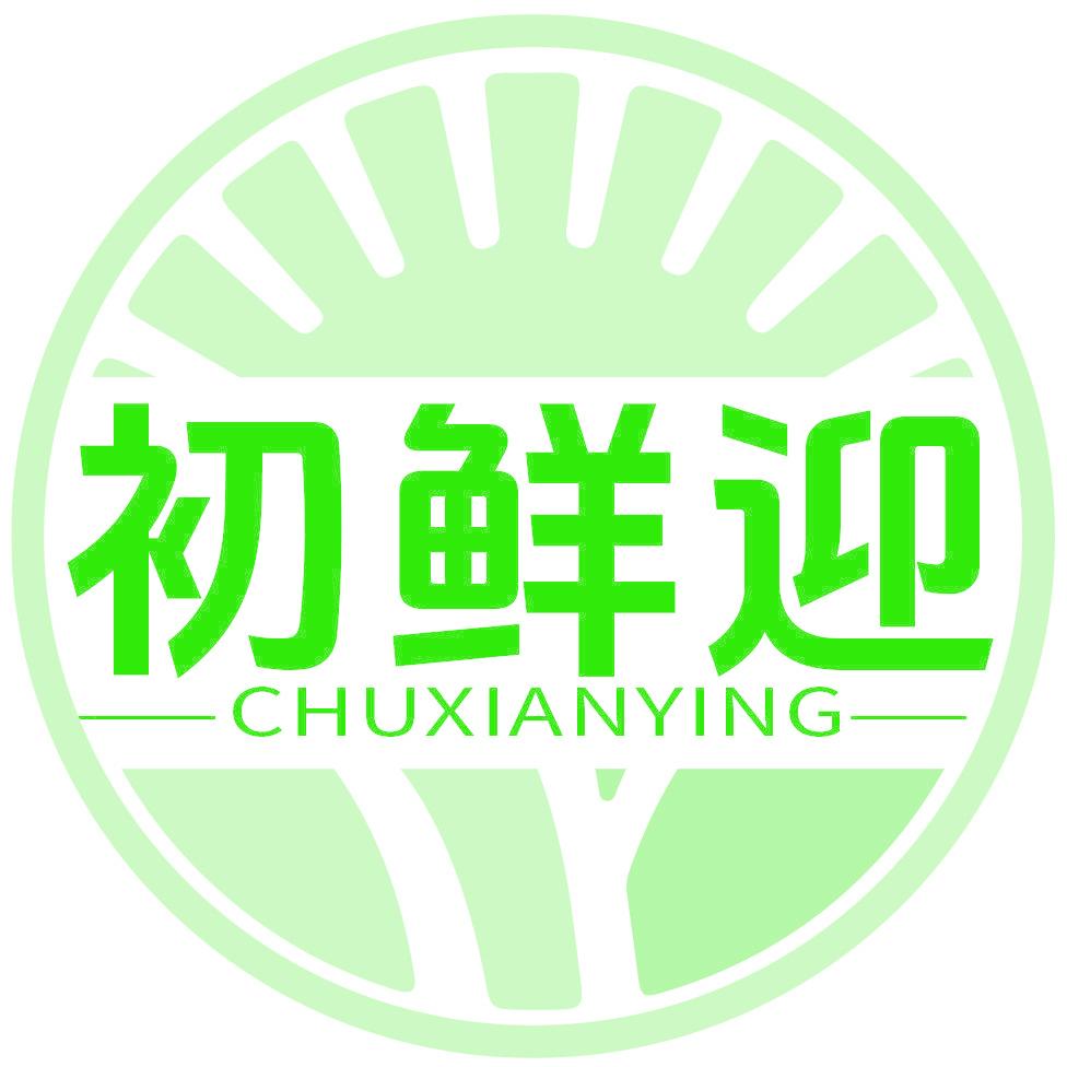 初鲜迎