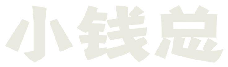 小钱总