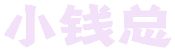 小钱总