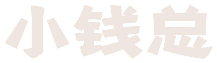 小钱总