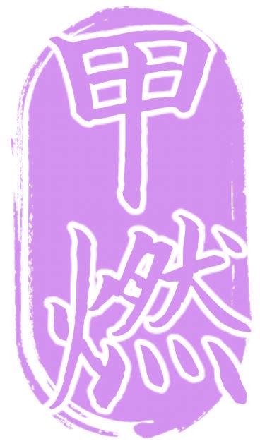 甲燃
