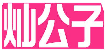 灿公子