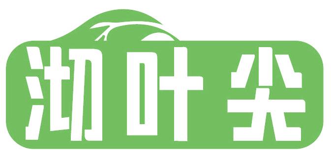 沏叶尖