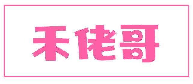 禾佬哥