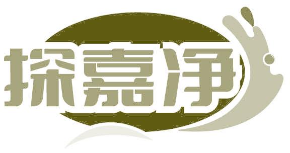 探嘉净
