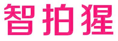 智拍猩
