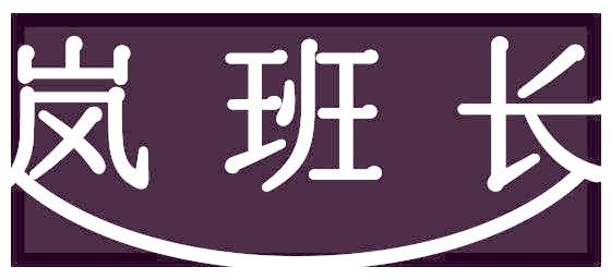 岚班长