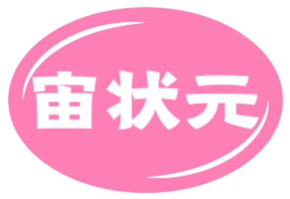 宙狀元