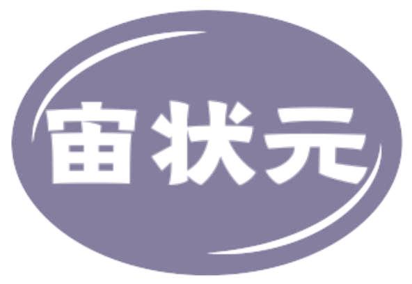 宙状元