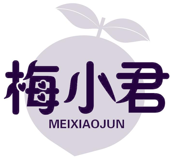 梅小君