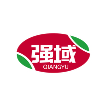 强域