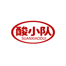 酸小队